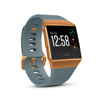 Fitbit Ionic (Slate Blue / Burnt Orange)