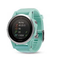Garmin fenix 5S (Frost Blue / Sapphire)