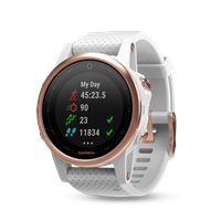 Garmin fenix 5S (Rose Gold / Sapphire)